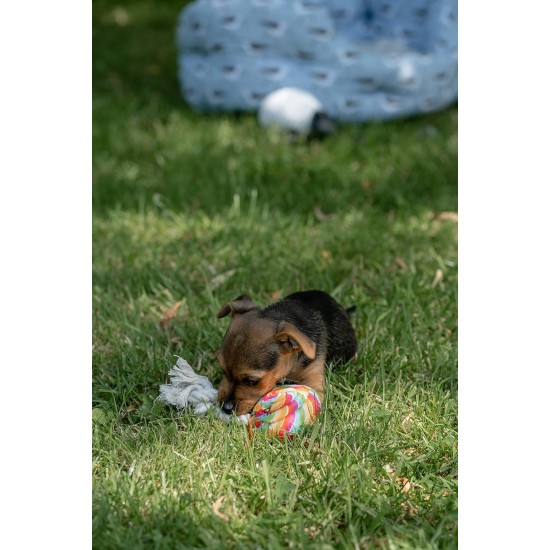 Petface Retro Camera Plush Dog Toy Petface Retro Camera Plush Dog Toy