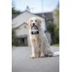 Petface Retro Camera Plush Dog Toy Petface Retro Camera Plush Dog Toy