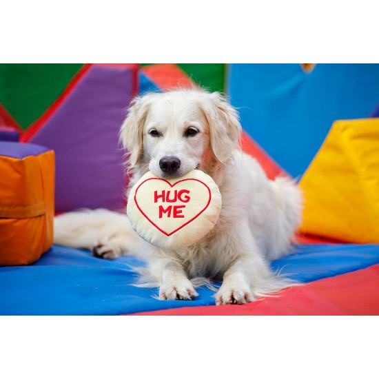 Petface Retro Camera Plush Dog Toy Petface Retro Camera Plush Dog Toy