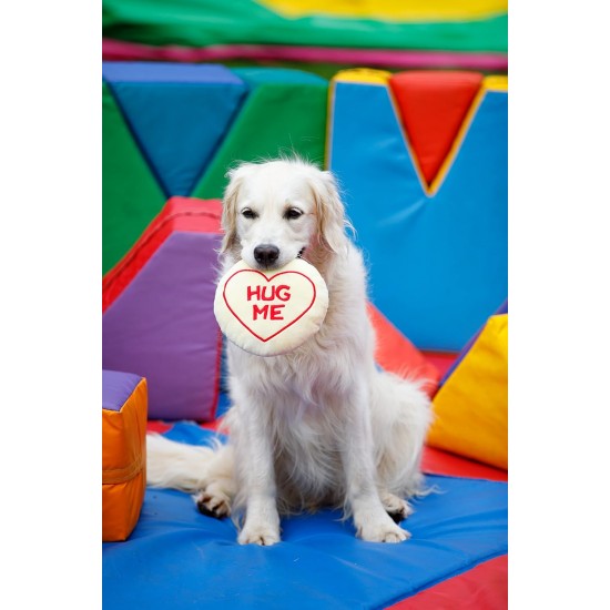 Petface Retro Camera Plush Dog Toy Petface Retro Camera Plush Dog Toy