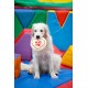 Petface Retro Camera Plush Dog Toy Petface Retro Camera Plush Dog Toy