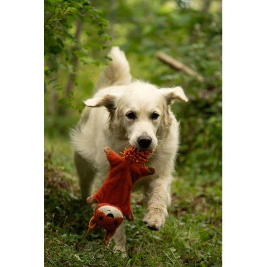 Petface Saffia Squirrel Crinkle Dog Toy (Pack of 1) Petface Saffia Squirrel Crinkle Dog Toy (Pack of 1)