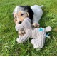 Petface Small Animal Face Freddi Cord Toy - Squeaky Puppy/Dog Toy Petface Small Animal Face Freddi Cord Toy - Squeaky Puppy/Dog Toy