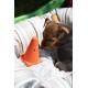 Petface Vehicles Hetty the Helicopter Plush Dog Toy Petface Vehicles Hetty the Helicopter Plush Dog Toy