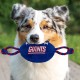 Pets First NFL PHILADELPHIA EAGLES Nylon Football Dog Toy with inner SQUEAKER & Pull Ropes PET SPORTS TOY Pets First NFL PHILADELPHIA EAGLES Nylon Football Dog Toy with inner SQUEAKER & Pull Ropes PET SPORTS TOY