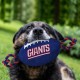 Pets First NFL PHILADELPHIA EAGLES Nylon Football Dog Toy with inner SQUEAKER & Pull Ropes PET SPORTS TOY Pets First NFL PHILADELPHIA EAGLES Nylon Football Dog Toy with inner SQUEAKER & Pull Ropes PET SPORTS TOY