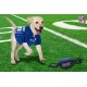Pets First NFL PHILADELPHIA EAGLES Nylon Football Dog Toy with inner SQUEAKER & Pull Ropes PET SPORTS TOY Pets First NFL PHILADELPHIA EAGLES Nylon Football Dog Toy with inner SQUEAKER & Pull Ropes PET SPORTS TOY