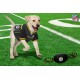 Pets First NFL PHILADELPHIA EAGLES Nylon Football Dog Toy with inner SQUEAKER & Pull Ropes PET SPORTS TOY Pets First NFL PHILADELPHIA EAGLES Nylon Football Dog Toy with inner SQUEAKER & Pull Ropes PET SPORTS TOY