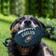 Pets First NFL PHILADELPHIA EAGLES Nylon Football Dog Toy with inner SQUEAKER & Pull Ropes PET SPORTS TOY Pets First NFL PHILADELPHIA EAGLES Nylon Football Dog Toy with inner SQUEAKER & Pull Ropes PET SPORTS TOY