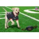 Pets First NFL PHILADELPHIA EAGLES Nylon Football Dog Toy with inner SQUEAKER & Pull Ropes PET SPORTS TOY Pets First NFL PHILADELPHIA EAGLES Nylon Football Dog Toy with inner SQUEAKER & Pull Ropes PET SPORTS TOY