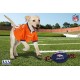 Pets First NFL PHILADELPHIA EAGLES Nylon Football Dog Toy with inner SQUEAKER & Pull Ropes PET SPORTS TOY Pets First NFL PHILADELPHIA EAGLES Nylon Football Dog Toy with inner SQUEAKER & Pull Ropes PET SPORTS TOY
