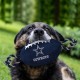Pets First NFL PHILADELPHIA EAGLES Nylon Football Dog Toy with inner SQUEAKER & Pull Ropes PET SPORTS TOY Pets First NFL PHILADELPHIA EAGLES Nylon Football Dog Toy with inner SQUEAKER & Pull Ropes PET SPORTS TOY