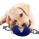 Pets First NFL PHILADELPHIA EAGLES Nylon Football Dog Toy with inner SQUEAKER & Pull Ropes PET SPORTS TOY Pets First NFL PHILADELPHIA EAGLES Nylon Football Dog Toy with inner SQUEAKER & Pull Ropes PET SPORTS TOY