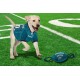 Pets First NFL PHILADELPHIA EAGLES Nylon Football Dog Toy with inner SQUEAKER & Pull Ropes PET SPORTS TOY Pets First NFL PHILADELPHIA EAGLES Nylon Football Dog Toy with inner SQUEAKER & Pull Ropes PET SPORTS TOY