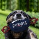 Pets First NFL PHILADELPHIA EAGLES Nylon Football Dog Toy with inner SQUEAKER & Pull Ropes PET SPORTS TOY Pets First NFL PHILADELPHIA EAGLES Nylon Football Dog Toy with inner SQUEAKER & Pull Ropes PET SPORTS TOY