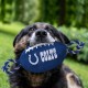 Pets First NFL PHILADELPHIA EAGLES Nylon Football Dog Toy with inner SQUEAKER & Pull Ropes PET SPORTS TOY Pets First NFL PHILADELPHIA EAGLES Nylon Football Dog Toy with inner SQUEAKER & Pull Ropes PET SPORTS TOY