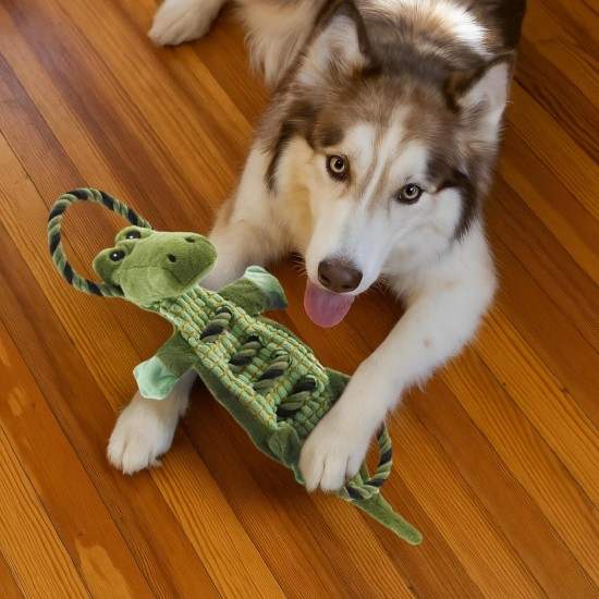 Petstages 69496M Thunda Tugga Leggy - Plush Dog Toy - Crocodile - Squeaker - One Size, Grey, 1 Piece Petstages 69496M Thunda Tugga Leggy - Plush Dog Toy - Crocodile - Squeaker - One Size, Grey, 1 Piece