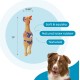 Petstages 69496M Thunda Tugga Leggy - Plush Dog Toy - Crocodile - Squeaker - One Size, Grey, 1 Piece Petstages 69496M Thunda Tugga Leggy - Plush Dog Toy - Crocodile - Squeaker - One Size, Grey, 1 Piece