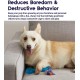 Petstages Orka Flyer - Apportierspielzeug für Hunde - Frisbee - Royalblau Petstages Orka Flyer - Apportierspielzeug für Hunde - Frisbee - Royalblau