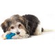 Petstages Orka Flyer - Apportierspielzeug für Hunde - Frisbee - Royalblau Petstages Orka Flyer - Apportierspielzeug für Hunde - Frisbee - Royalblau