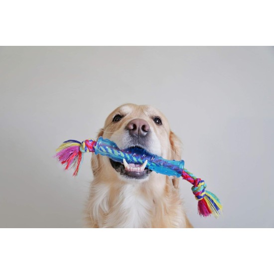 Petstages Orka Flyer - Apportierspielzeug für Hunde - Frisbee - Royalblau Petstages Orka Flyer - Apportierspielzeug für Hunde - Frisbee - Royalblau