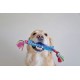Petstages Orka Flyer - Apportierspielzeug für Hunde - Frisbee - Royalblau Petstages Orka Flyer - Apportierspielzeug für Hunde - Frisbee - Royalblau