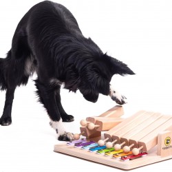 Piano - Interaktives Hundespielzeug aus Holz Intelligentes Spielzeug für Hunde und Katzen Leckerli Spender Spielzeug Piano - Interaktives Hundespielzeug aus Holz Intelligentes Spielzeug für Hunde und Katzen Leckerli Spender Spielzeug
