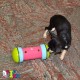 Pipolino Feeding Toy, X-Large Pipolino Feeding Toy, X-Large