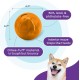 Planet Dog Orbee-Tuff Labyrinth Dog Toy, Interactive Treat Dispenser, Orange Planet Dog Orbee-Tuff Labyrinth Dog Toy, Interactive Treat Dispenser, Orange