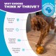 Planet Dog Orbee-Tuff Labyrinth Dog Toy, Interactive Treat Dispenser, Orange Planet Dog Orbee-Tuff Labyrinth Dog Toy, Interactive Treat Dispenser, Orange