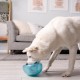 Planet Dog Orbee-Tuff Snoop - Interaktives Spielzeug für Hunde - Snackball - Blau - Groß Planet Dog Orbee-Tuff Snoop - Interaktives Spielzeug für Hunde - Snackball - Blau - Groß