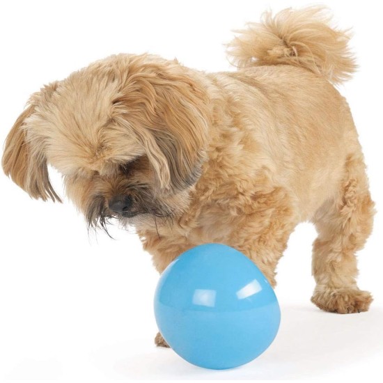 Planet Dog Orbee-Tuff Snoop - Interaktives Spielzeug für Hunde - Snackball - Blau - Groß Planet Dog Orbee-Tuff Snoop - Interaktives Spielzeug für Hunde - Snackball - Blau - Groß