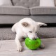 Planet Dog Orbee-Tuff Snoop Dog Toy, Interactive Treat Dispensing Toy, Large, Green Planet Dog Orbee-Tuff Snoop Dog Toy, Interactive Treat Dispensing Toy, Large, Green