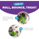 Planet Dog Orbee-Tuff Snoop Dog Toy, Interactive Treat Dispensing Toy, Large, Green Planet Dog Orbee-Tuff Snoop Dog Toy, Interactive Treat Dispensing Toy, Large, Green