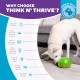 Planet Dog Orbee-Tuff Snoop Dog Toy, Interactive Treat Dispensing Toy, Large, Green Planet Dog Orbee-Tuff Snoop Dog Toy, Interactive Treat Dispensing Toy, Large, Green