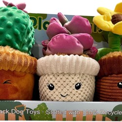Plant Pals Hundespielzeug, 3 Stück Plant Pals Hundespielzeug, 3 Stück