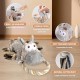 Plush Crinkle Toy with Squeaker, Pull Rope, Various Sizes for Puppies and Dogs Plush Crinkle Toy with Squeaker, Pull Rope, Various Sizes for Puppies and Dogs
