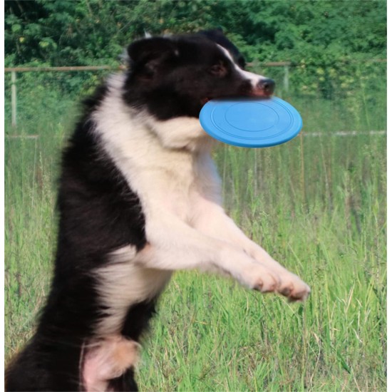 Poejetag Training Interactive Toy Pet Silicone Frisbee Game Outdoor Sports Toy for Small and Medium Dogs Black, Plastic, White Poejetag Training Interactive Toy Pet Silicone Frisbee Game Outdoor Sports Toy for Small and Medium Dogs Black, Plastic, White