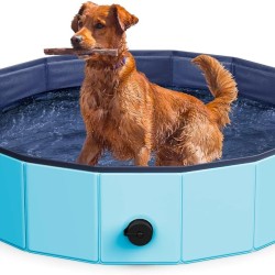 Pool for Dogs and Cats, 160 x 30 cm, Hard Pool for Indoor and Outdoor Use, Non-Slip and Foldable, Made of Durable PVC Material, Red and Blue Pool for Dogs and Cats, 160 x 30 cm, Hard Pool for Indoor and Outdoor Use, Non-Slip and Foldable, Made of Durable PVC Material, Red and Blue
