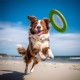 Record Paw Game for Dogs, Difficulty Level 3, Light Walnut Puzzle with Non-Slip Base, Size 24 x 24 x 2.5 cm Record Paw Game for Dogs, Difficulty Level 3, Light Walnut Puzzle with Non-Slip Base, Size 24 x 24 x 2.5 cm