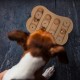Relaxdays Dog Intelligence Toy Hide Treat Food Toy Interactive Snuffle Game Multicolor Relaxdays Dog Intelligence Toy Hide Treat Food Toy Interactive Snuffle Game Multicolor