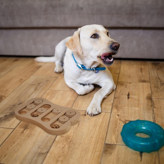 Relaxdays Dog Intelligence Toy Hide Treat Food Toy Interactive Snuffle Game Multicolor Relaxdays Dog Intelligence Toy Hide Treat Food Toy Interactive Snuffle Game Multicolor