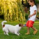 Relaxdays Dog Toy Set, 4 Pieces, Knot & Cord, Small & Medium Dogs, Teething Toy, Cotton, Multi-Colour
