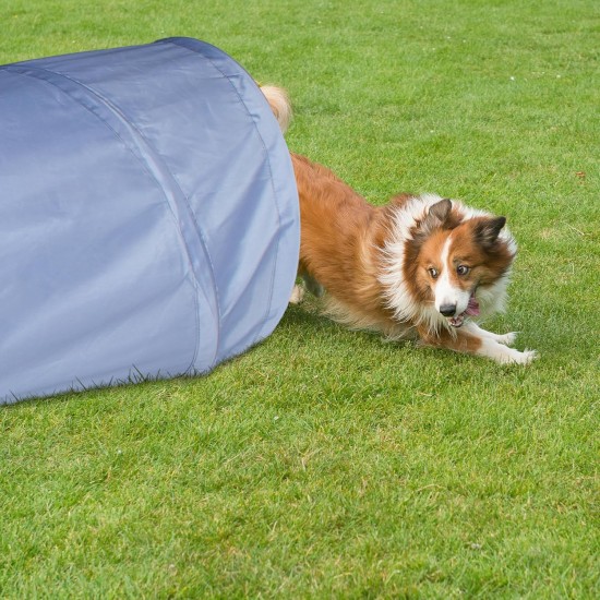 Relaxdays Dog Tunnel, Play Tunnel for Active Dogs, Dog Training, 200 cm Long, Diameter 40 cm, Foldable Agility Tunnel, Grey Relaxdays Dog Tunnel, Play Tunnel for Active Dogs, Dog Training, 200 cm Long, Diameter 40 cm, Foldable Agility Tunnel, Grey