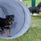Relaxdays Dog Tunnel, Play Tunnel for Active Dogs, Dog Training, 200 cm Long, Diameter 40 cm, Foldable Agility Tunnel, Grey Relaxdays Dog Tunnel, Play Tunnel for Active Dogs, Dog Training, 200 cm Long, Diameter 40 cm, Foldable Agility Tunnel, Grey