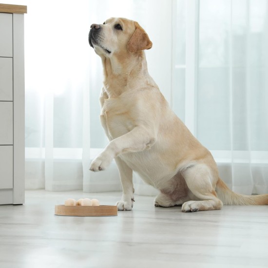 Relaxdays Intelligence Toy for Cats and Dogs, MDF, HD: 6 x 25 cm, Feeding Toy, Interactive Sniffing Game, Natural Relaxdays Intelligence Toy for Cats and Dogs, MDF, HD: 6 x 25 cm, Feeding Toy, Interactive Sniffing Game, Natural
