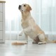 Relaxdays Intelligence Toy for Cats and Dogs, MDF, HD: 6 x 25 cm, Feeding Toy, Interactive Sniffing Game, Natural Relaxdays Intelligence Toy for Cats and Dogs, MDF, HD: 6 x 25 cm, Feeding Toy, Interactive Sniffing Game, Natural