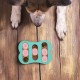 Relaxdays Interactive Intelligence Dog Toy Treat Design Food Toy Snuffle Game Turquoise Pink 100% Fiberboard 1 Piece