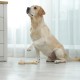 Relaxdays Interactive Intelligence Toy for Dogs, Bone Design, Food Toy, Treat, Snuffle Game, Natural Relaxdays Interactive Intelligence Toy for Dogs, Bone Design, Food Toy, Treat, Snuffle Game, Natural