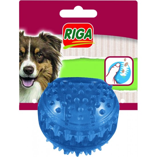 Riga Spikeball